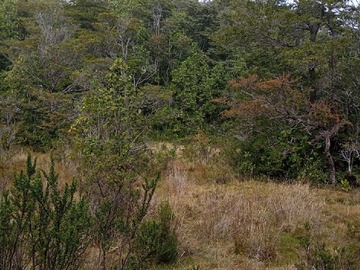 Imagen 12