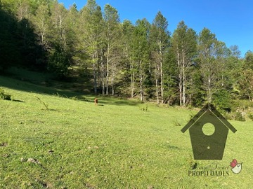 Imagen 13