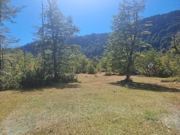 Venta / Terreno / Curarrehue