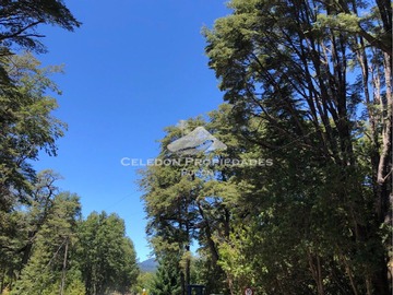 Venta / Terreno / Curarrehue