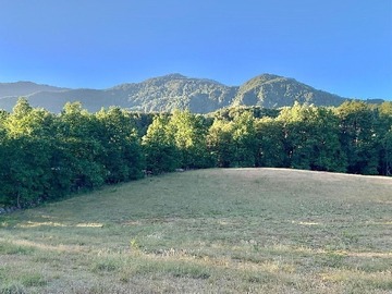 Venta / Terreno / Curarrehue