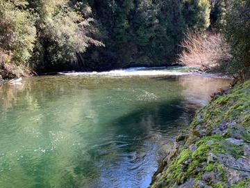 Venta / Terreno / Curarrehue