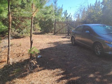 Venta / Terreno / Curepto