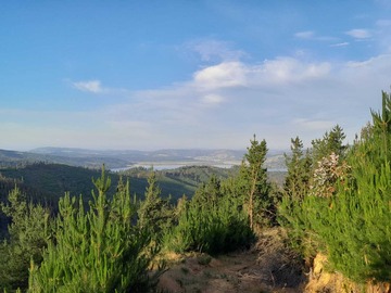 Venta / Terreno / Curicó