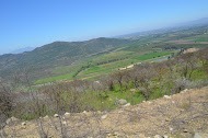Imagen 4