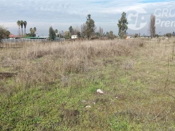 Venta / Terreno / Curicó