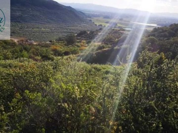 Venta / Terreno / Curicó