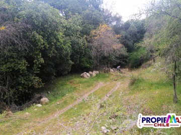 Imagen 11