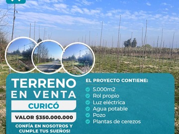 Venta / Terreno / Curicó