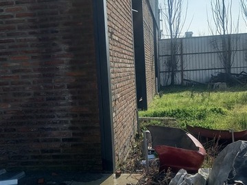 Imagen 5