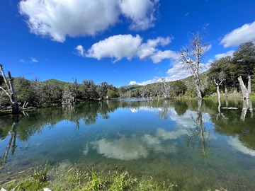 Venta / Terreno / Curicó