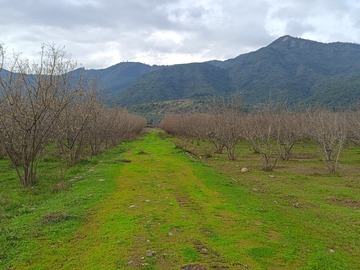 Camino interior