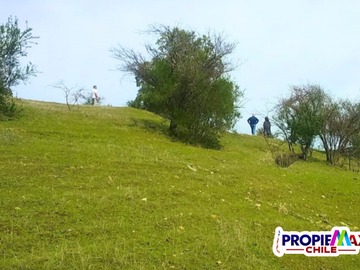 Imagen 6