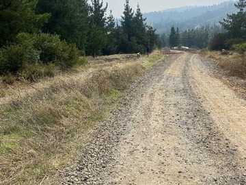 Venta / Terreno / Curicó