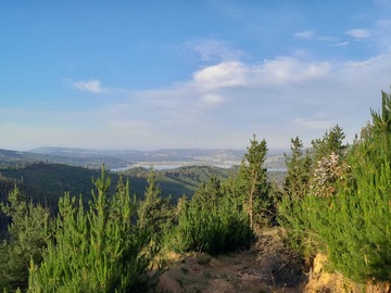 Venta / Terreno / Curicó