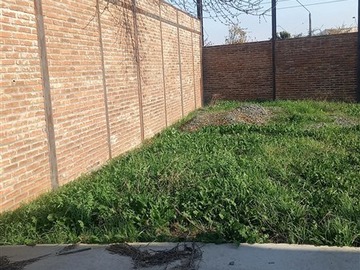 Imagen 8