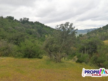 Imagen 5