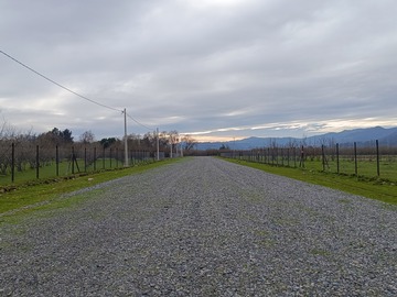 Camino interior