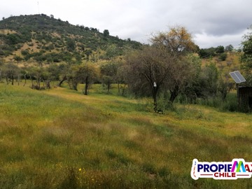 Imagen 9