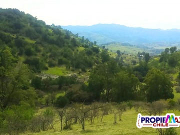 Imagen 14
