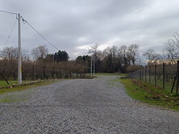 Camino interior