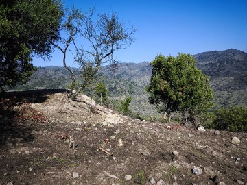 Venta / Terreno / Curicó