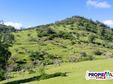 Venta / Terreno / Curicó