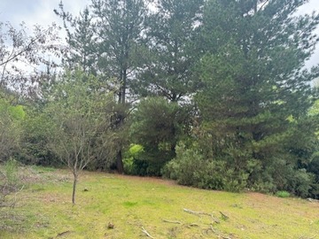 Venta / Terreno / Curicó
