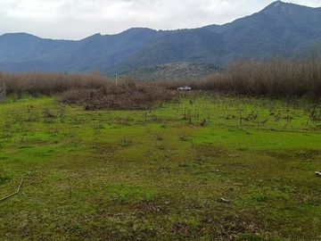 Venta / Terreno / Curicó