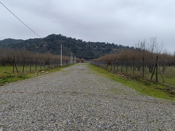 Camino interior