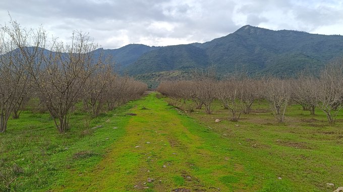 Camino interior