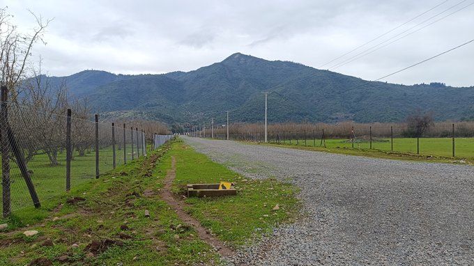 Camino interior