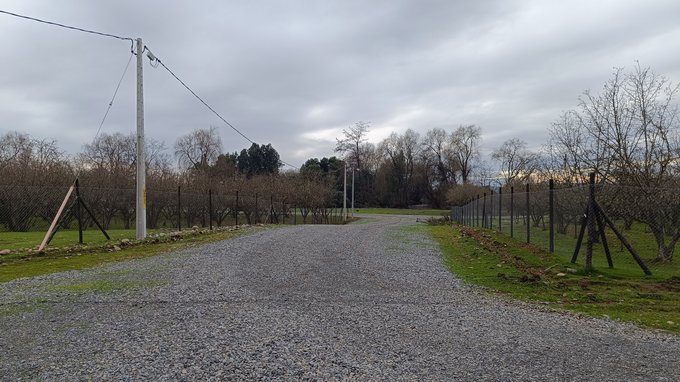 Camino interior