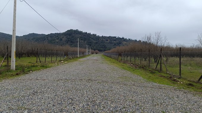 Camino interior