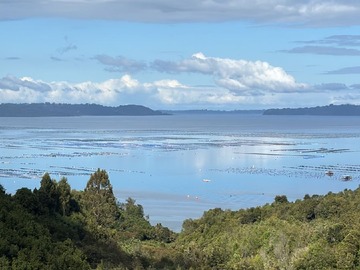 Venta / Terreno / Dalcahue