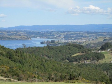 Venta / Terreno / Dalcahue