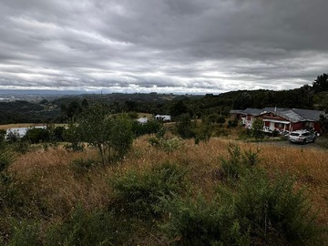 Imagen 16