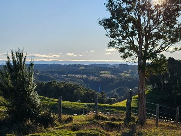 Venta / Terreno / Dalcahue