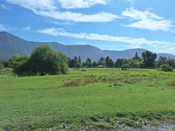 Venta / Terreno / Doñihue