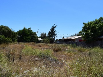 Imagen 4