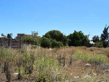 Imagen 8
