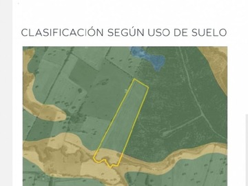 Imagen 7
