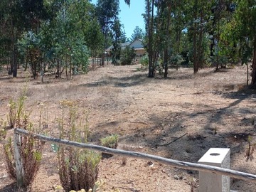Venta / Terreno / El Quisco