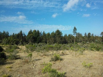 Venta / Terreno / El Quisco