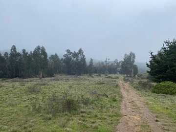 Venta / Terreno / El Quisco