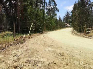 Venta / Terreno / El Quisco