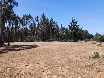 Venta / Terreno / El Quisco