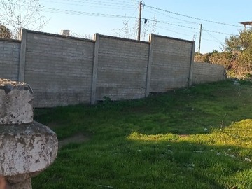 Imagen 6