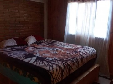 Imagen 10