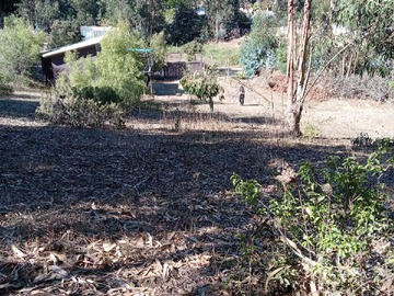 Imagen 11